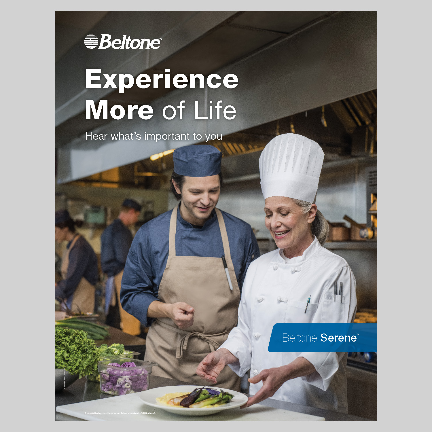 CABT204 Rev.A Poster